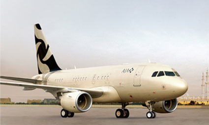 Exterior of Airbus 318 Elite